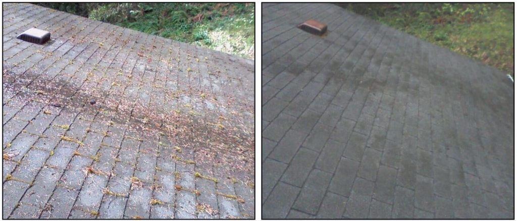 Roof-Cleaning-Sealing