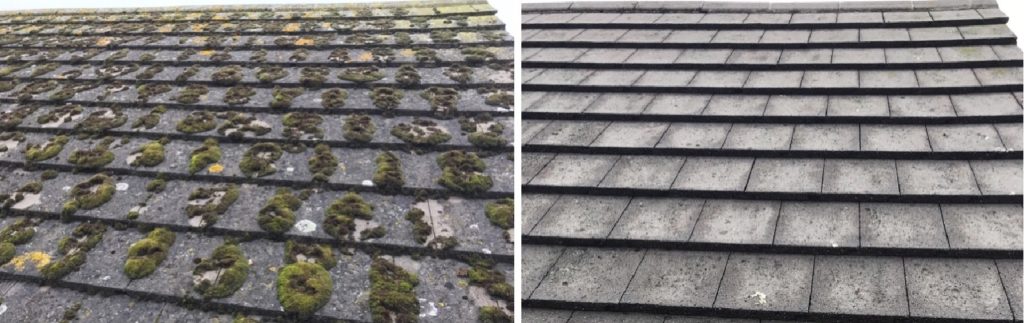 residencial-roof-cleaning