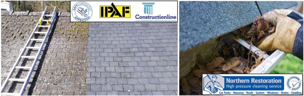 Roof gutter Cleaning