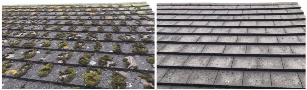 Roof-Cleaning-Cleaners