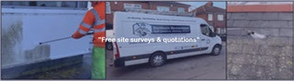 Northern Restoration