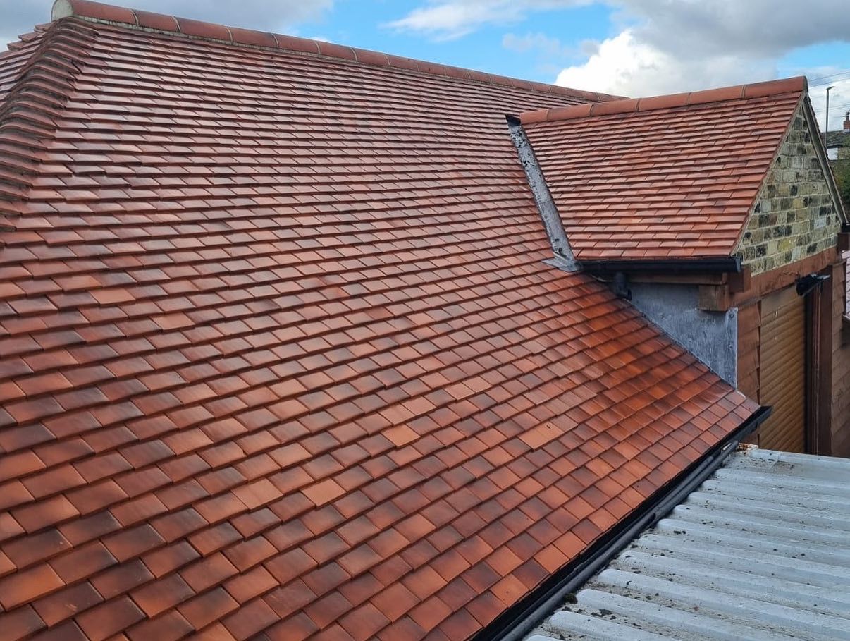 Roof Cleaned and Treated